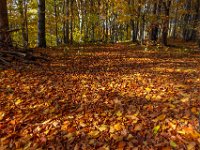 Beskid Niski